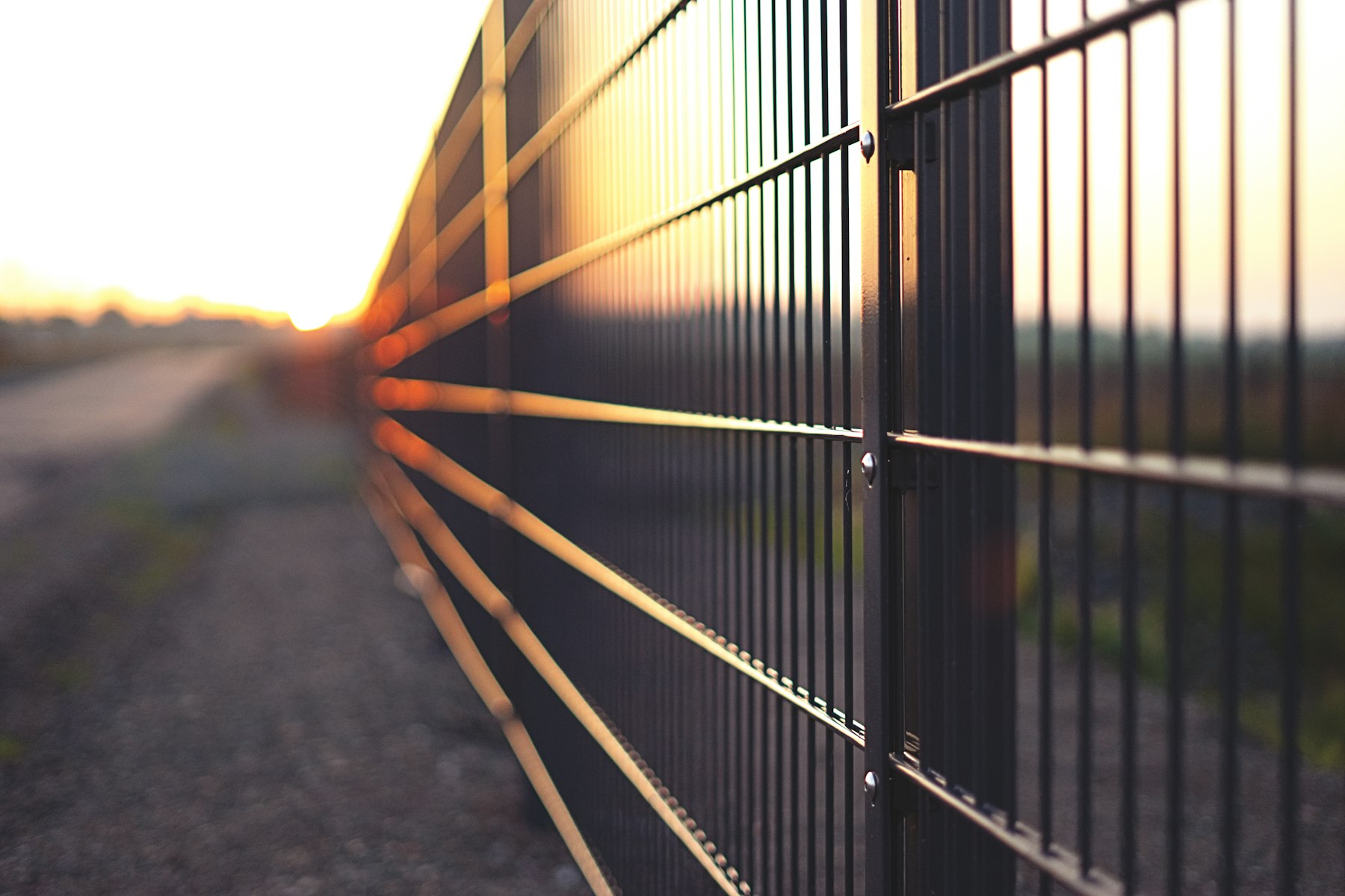 Custom welded steel fence and gate at sunset