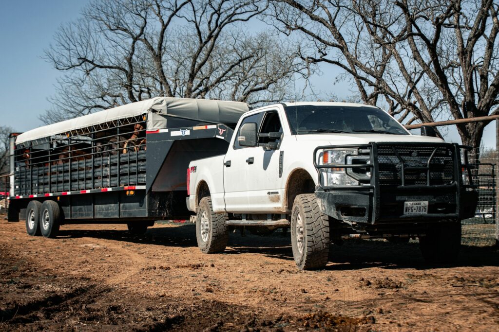 Pickup truck and livestock trailer on a ranch track